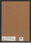 Coscinodiscus radiatus var. minor A. Schum. (de-Toni-Nr.: Genus 202, Species 4972) Zeichnungen Sammlung Grunow Mappe 04792 (Herbarium_W_Grunow_drawings_Folder_04792)